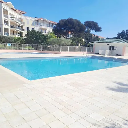 Grand T3 Avec Terrasse Et Jardin